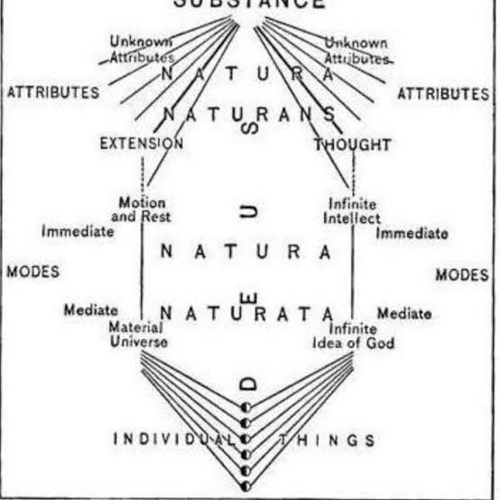 Spinoza's geometric mapping of Deus sive Natura, AI generated